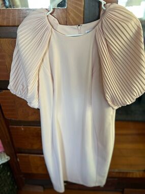 Calvin Klein Blush Pleated Puff Sleeve Mini Dress